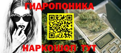 круглые Кингисепп