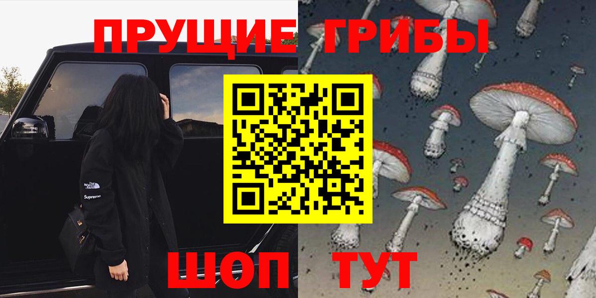 Галлюциногенные грибы Psilocybine cubensis Киреевск